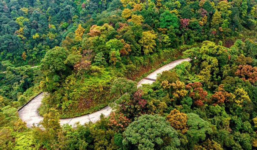 Vườn Quốc Gia Bạch Mã - Vẻ đẹp hùng vĩ của núi rừng